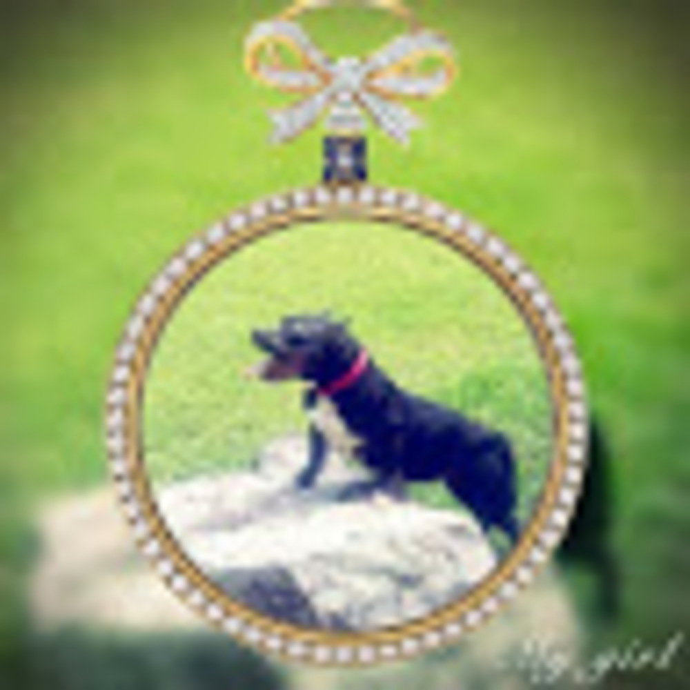 Meet your Posher, Jay